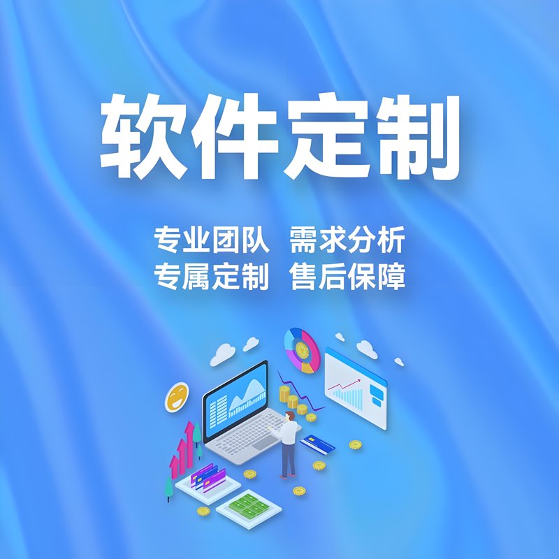 软件定制:企业发展的无形翅膀